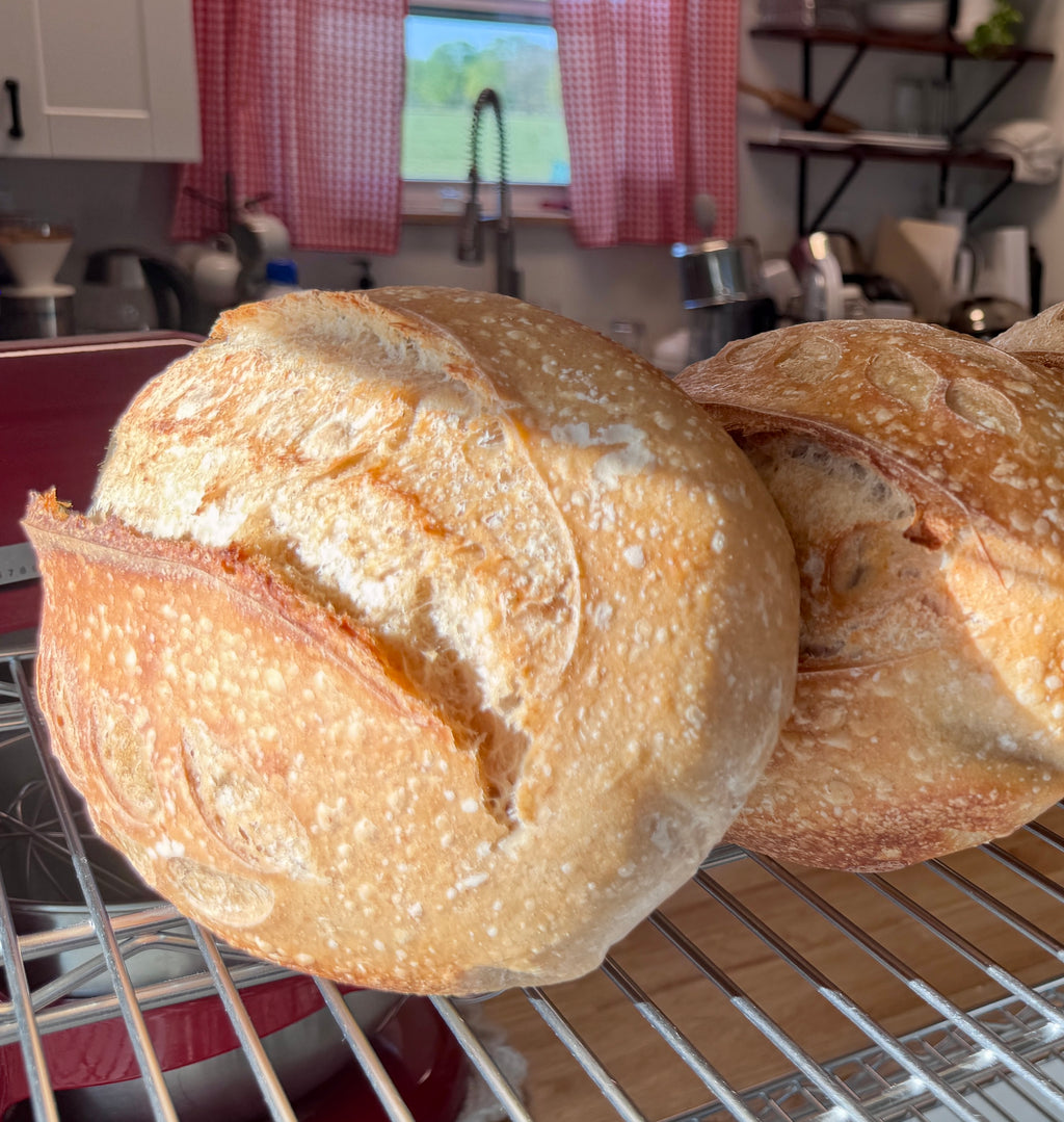 Little House Signature Sourdough Loaf
